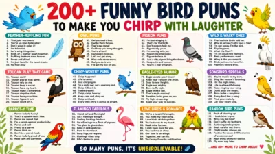 Funny bird puns infographic with colorful cartoon birds and hilarious captions for social media laughter