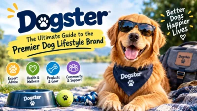 Dogster dog lifestyle brand guide featuring happy dogs, pet care, and canine companionship